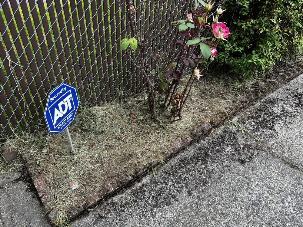 Top-rated landscape installation for year-round maintenance in Auburn, WA by Green City Tree Care