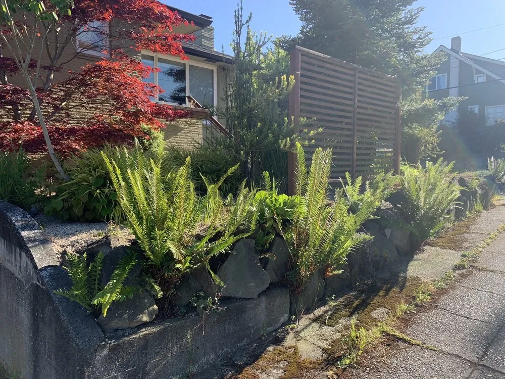 Custom landscape design in Auburn, WA - Green City Tree Care