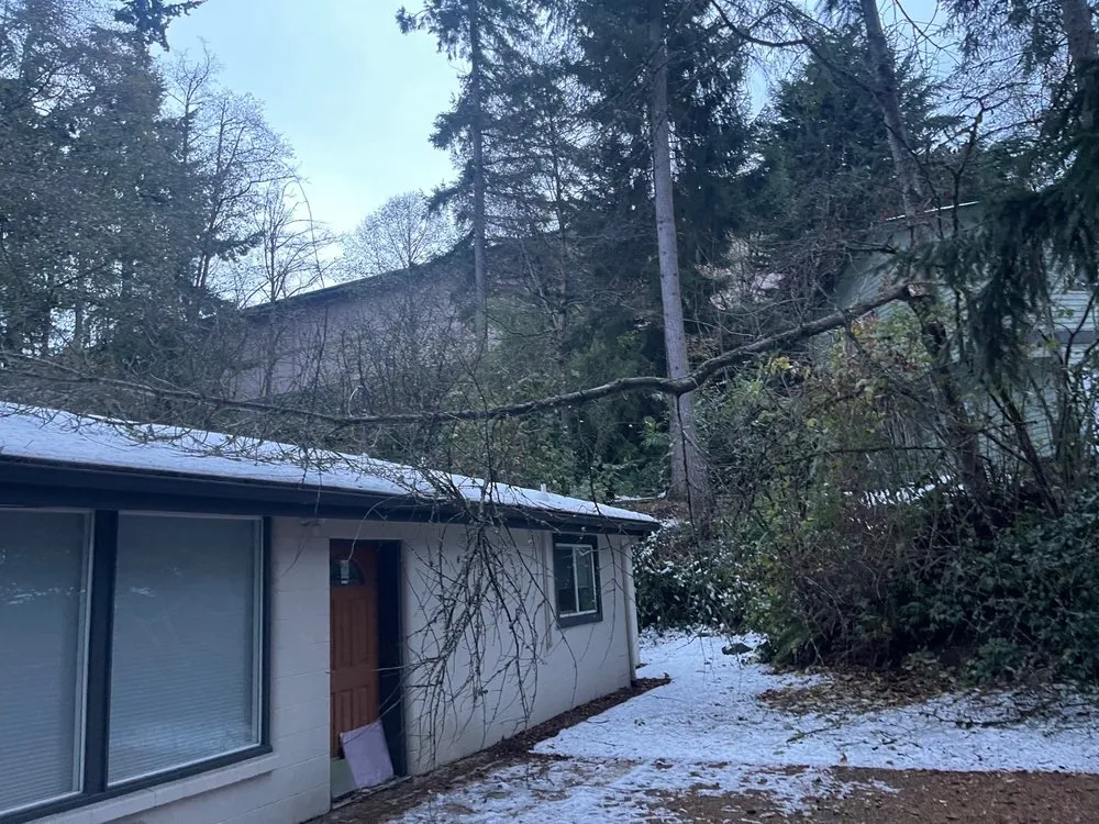 Top-rated outdoor landscaping in Auburn, WA by Green City Tree Care