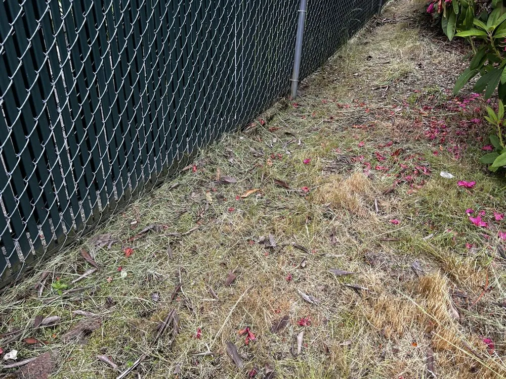 Professional lawn mowing service near you across Auburn, WA - Green City Tree Care