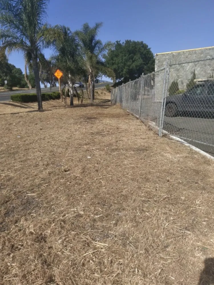 Professional yard maintenance for year-round maintenance in Fairfield, CA by Green Clean Janitorial and Landscaping