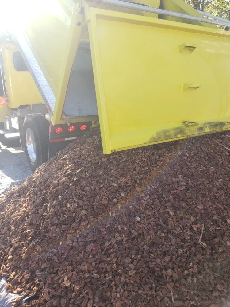 Affordable yard cleanup service for homes across Fairfield, CA - Green Clean Janitorial and Landscaping