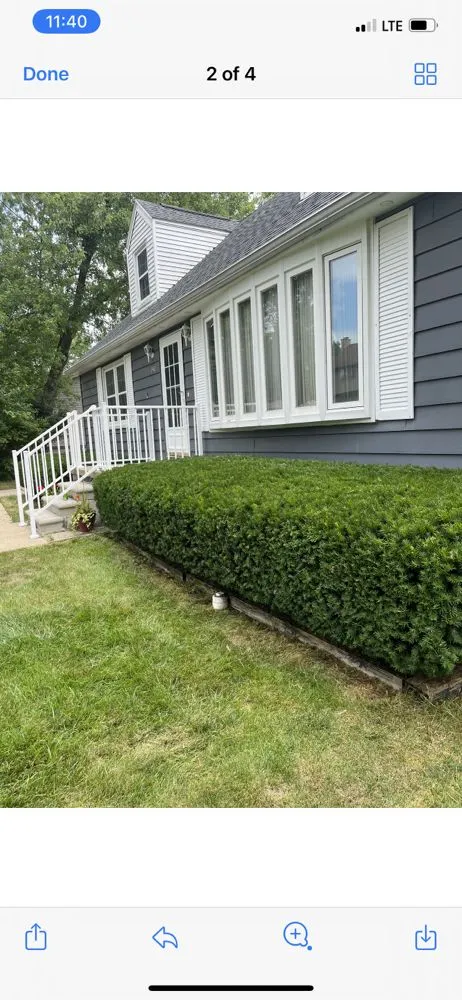 Trusted lawn care service in Newport, MI - Green Clean Lawn Services