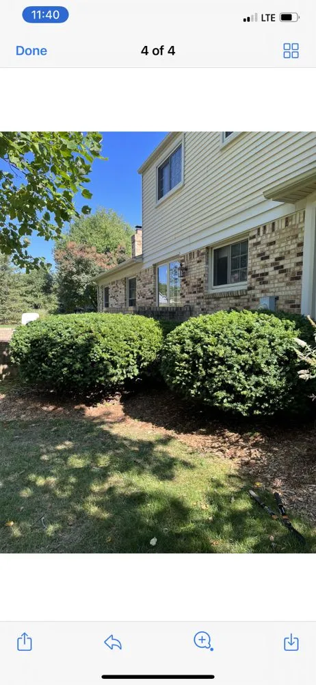 Reliable residential landscaping experts serving Newport, MI - Green Clean Lawn Services