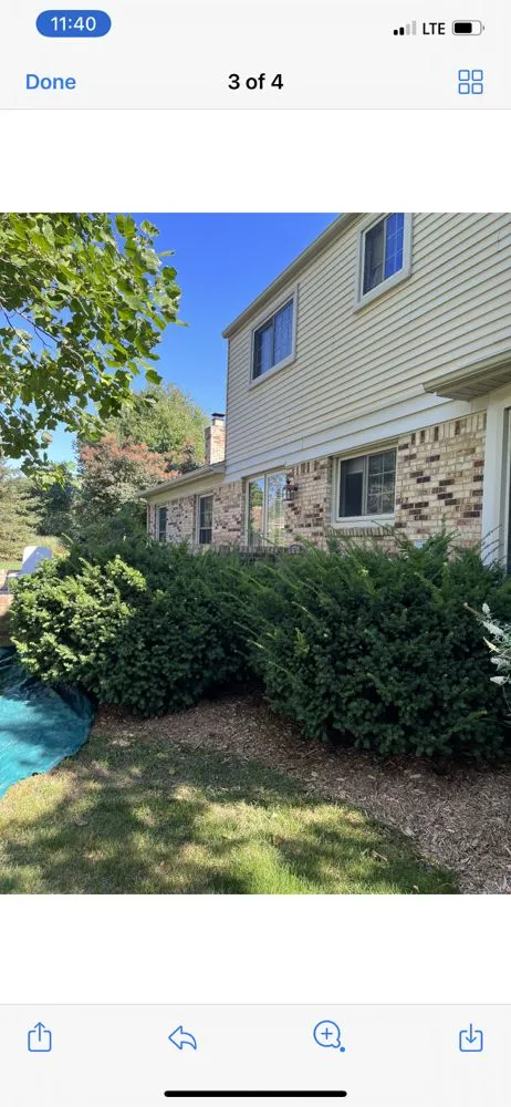 Expert landscape design for year-round maintenance in Newport, MI by Green Clean Lawn Services