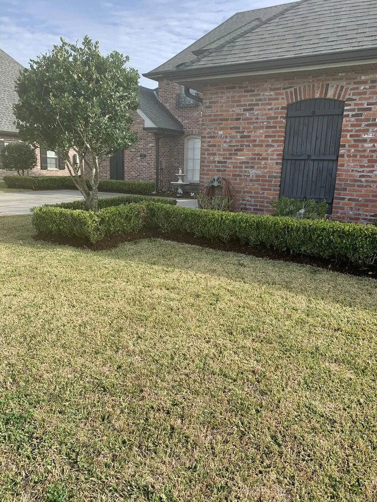 Trusted lawn care service experts serving Houma, LA - Green Clippings