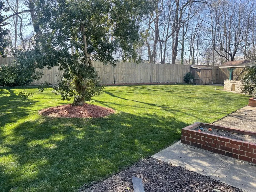 Reliable yard maintenance in Miami, FL - Green Clippings