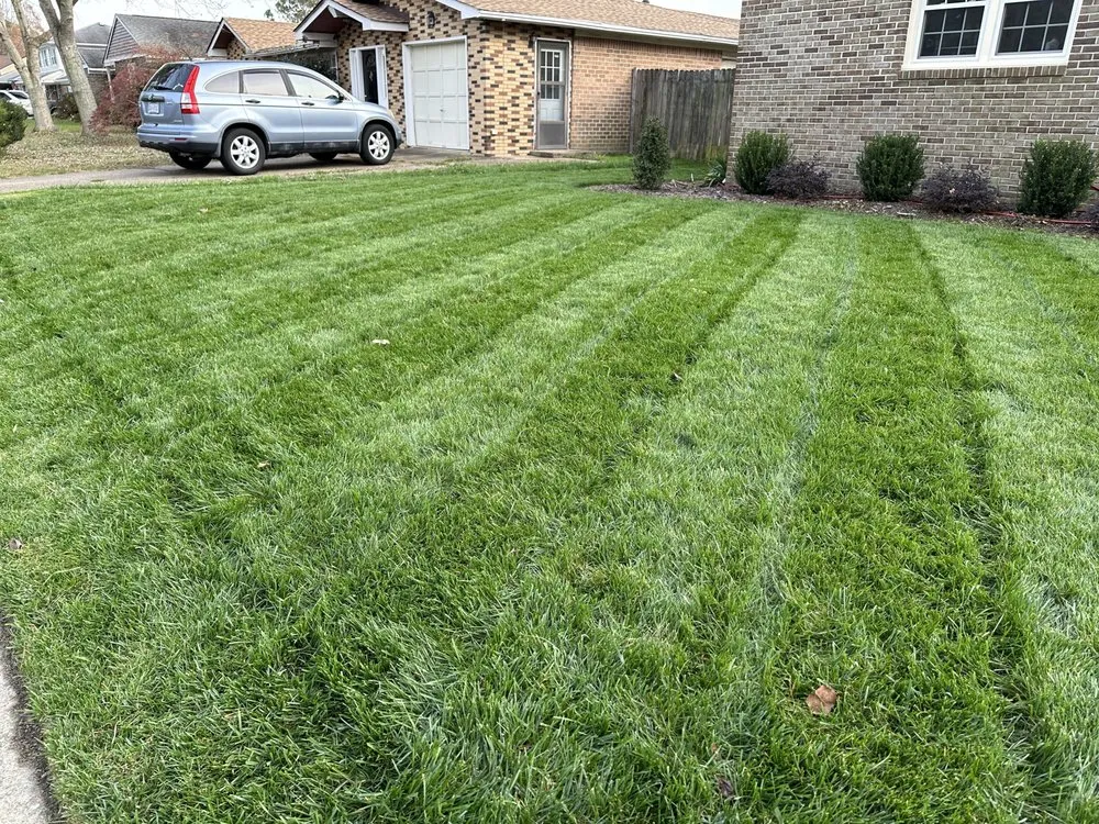 Expert residential landscaping in Miami, FL by Green Clippings