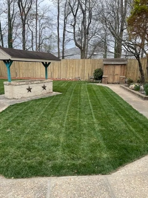 Local garden landscaping for year-round maintenance in Miami, FL by Green Clippings