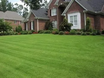 Expert landscape design experts serving Muscle Shoals, AL - Green Clips Lawn & Landscape