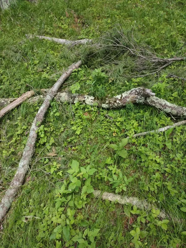 Custom garden landscaping for year-round maintenance in Park Rapids, MN by Green Clover Lawn Maintenance