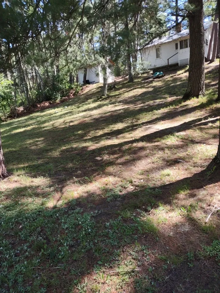 Professional landscape installation near you across Park Rapids, MN - Green Clover Lawn Maintenance