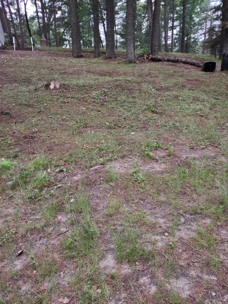 Top-rated lawn care service near you across Park Rapids, MN - Green Clover Lawn Maintenance