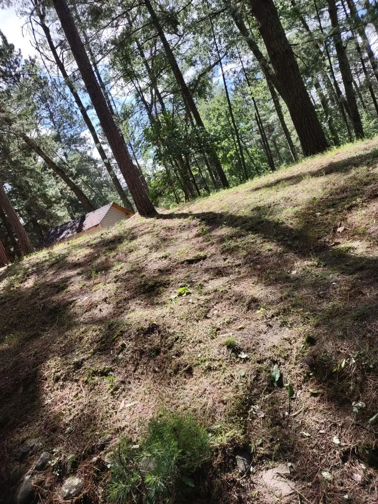 Trusted garden landscaping in Park Rapids, MN - Green Clover Lawn Maintenance