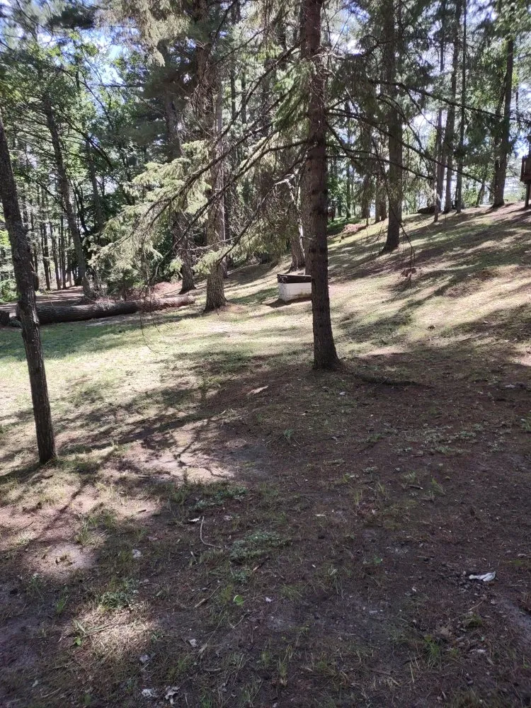 Local lawn mowing service in Park Rapids, MN - Green Clover Lawn Maintenance