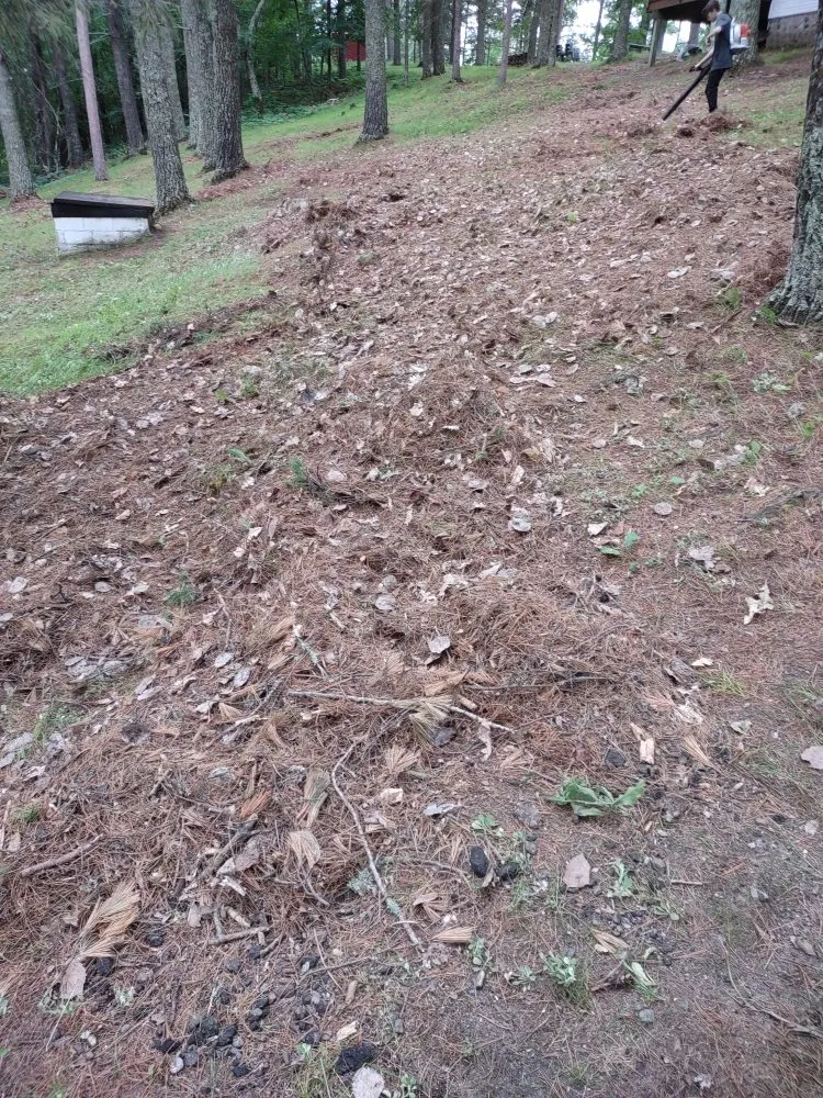 Affordable outdoor landscaping experts serving Park Rapids, MN - Green Clover Lawn Maintenance