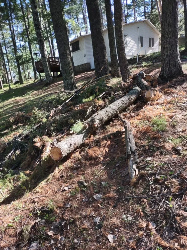 Affordable landscaping services experts serving Park Rapids, MN - Green Clover Lawn Maintenance