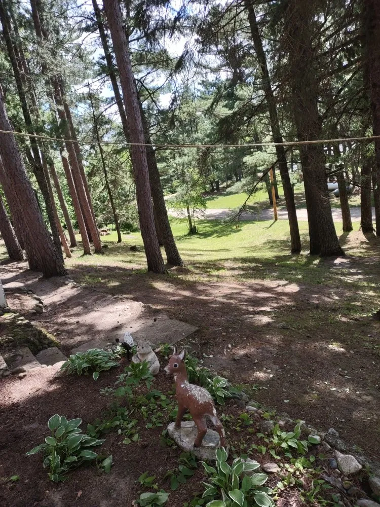 Reliable landscape installation for year-round maintenance in Park Rapids, MN by Green Clover Lawn Maintenance