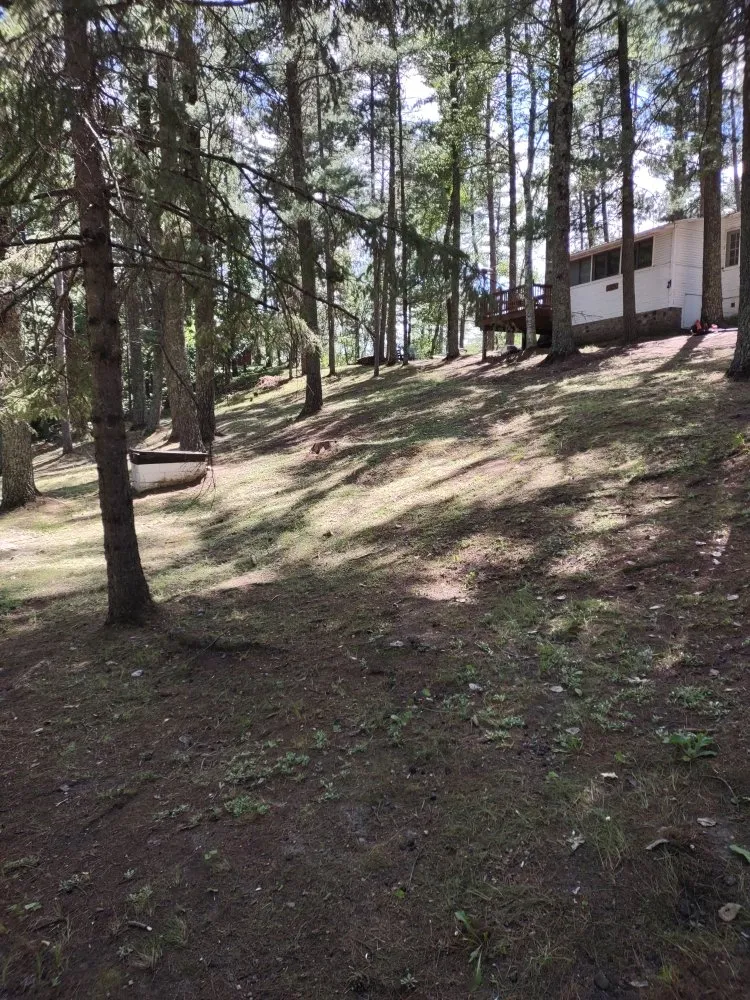 Top-rated lawn mowing service experts serving Park Rapids, MN - Green Clover Lawn Maintenance