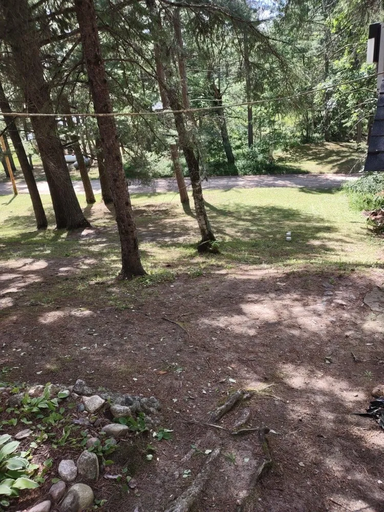 Trusted outdoor landscaping for beautiful yards across Park Rapids, MN - Green Clover Lawn Maintenance