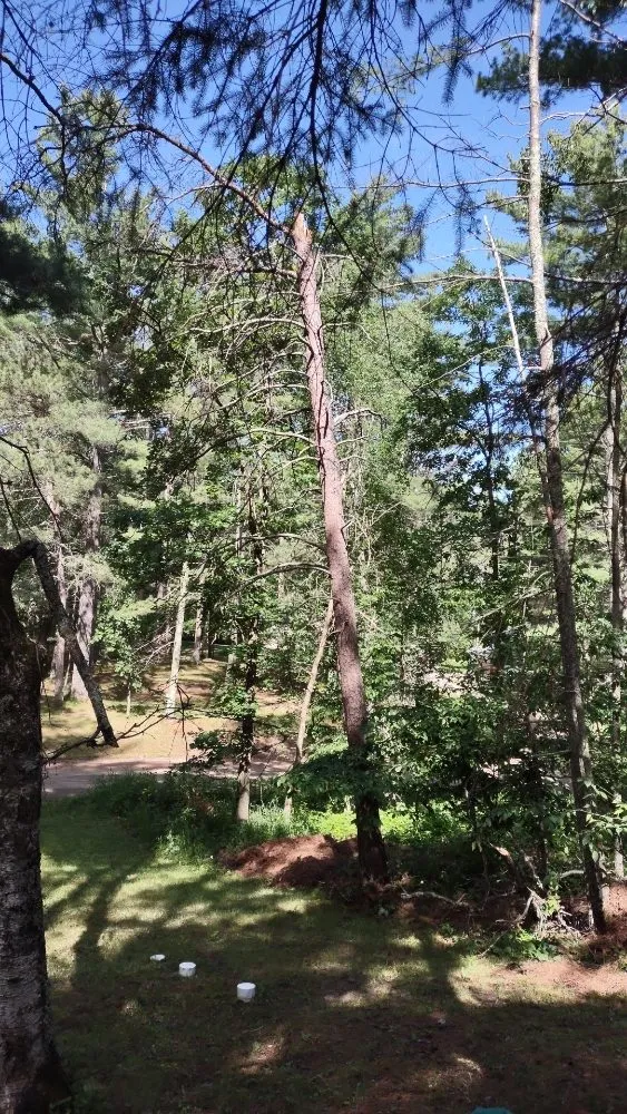 Expert garden landscaping in Park Rapids, MN by Green Clover Lawn Maintenance