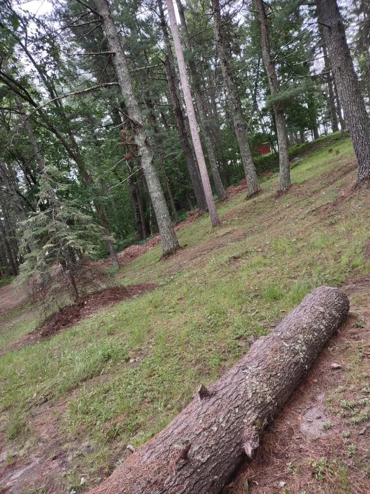 Reliable lawn mowing service near you across Park Rapids, MN - Green Clover Lawn Maintenance