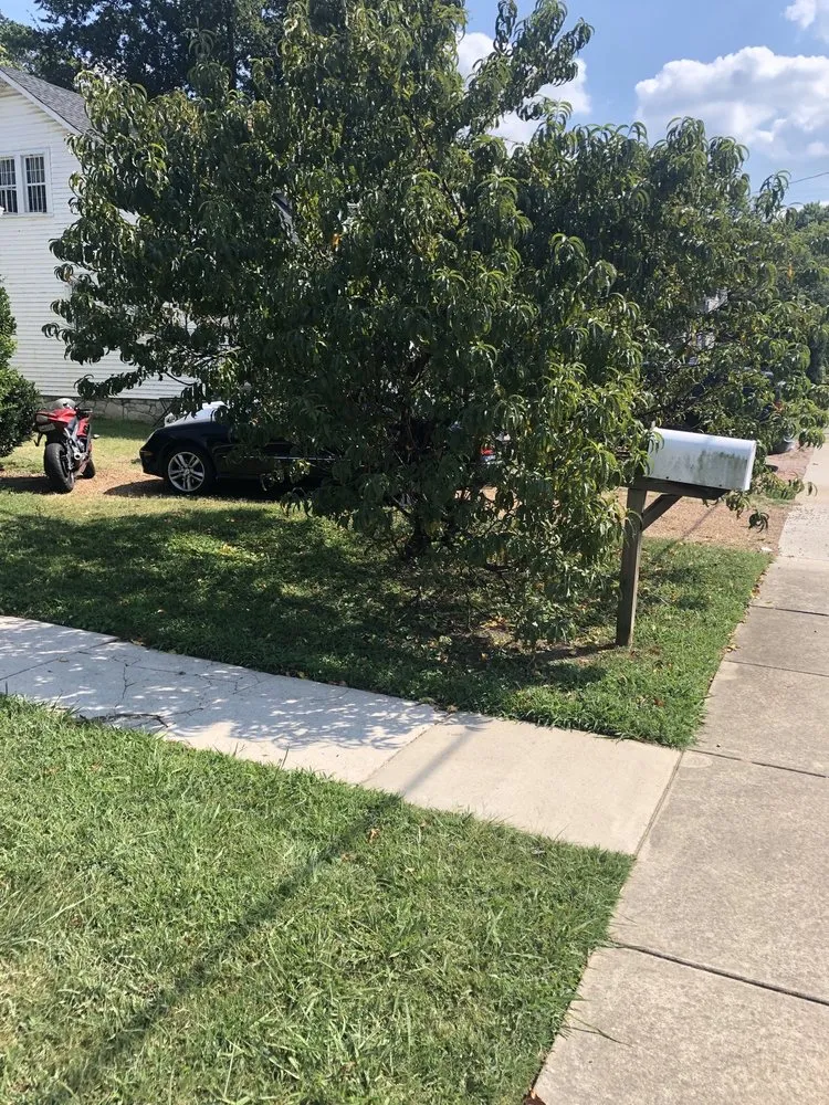 Expert yard maintenance for residential properties across Murfreesboro, TN - Green Collar Landscape