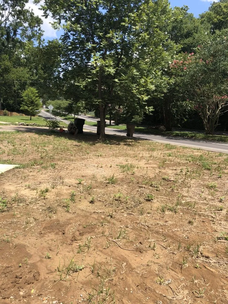 Affordable landscape installation in Murfreesboro, TN by Green Collar Landscape