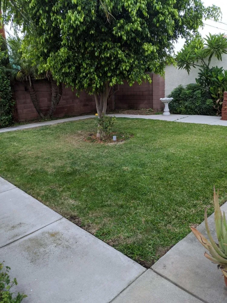 Top-rated outdoor landscaping in Whittier, CA - Green Collar Landscaping Services