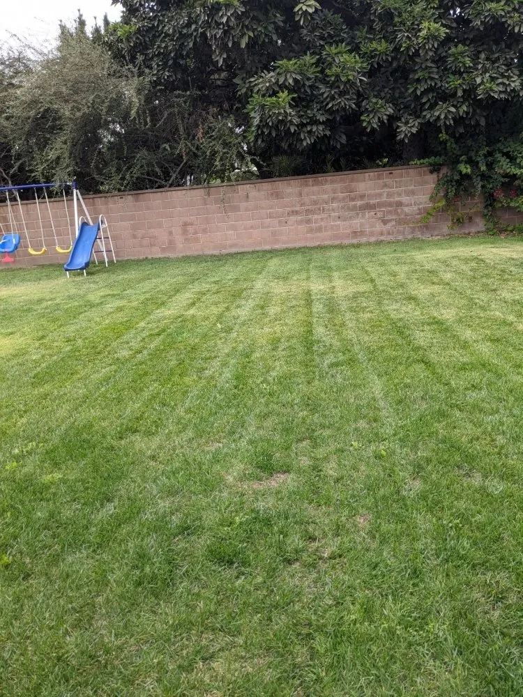 Trusted landscape installation in Whittier, CA - Green Collar Landscaping Services
