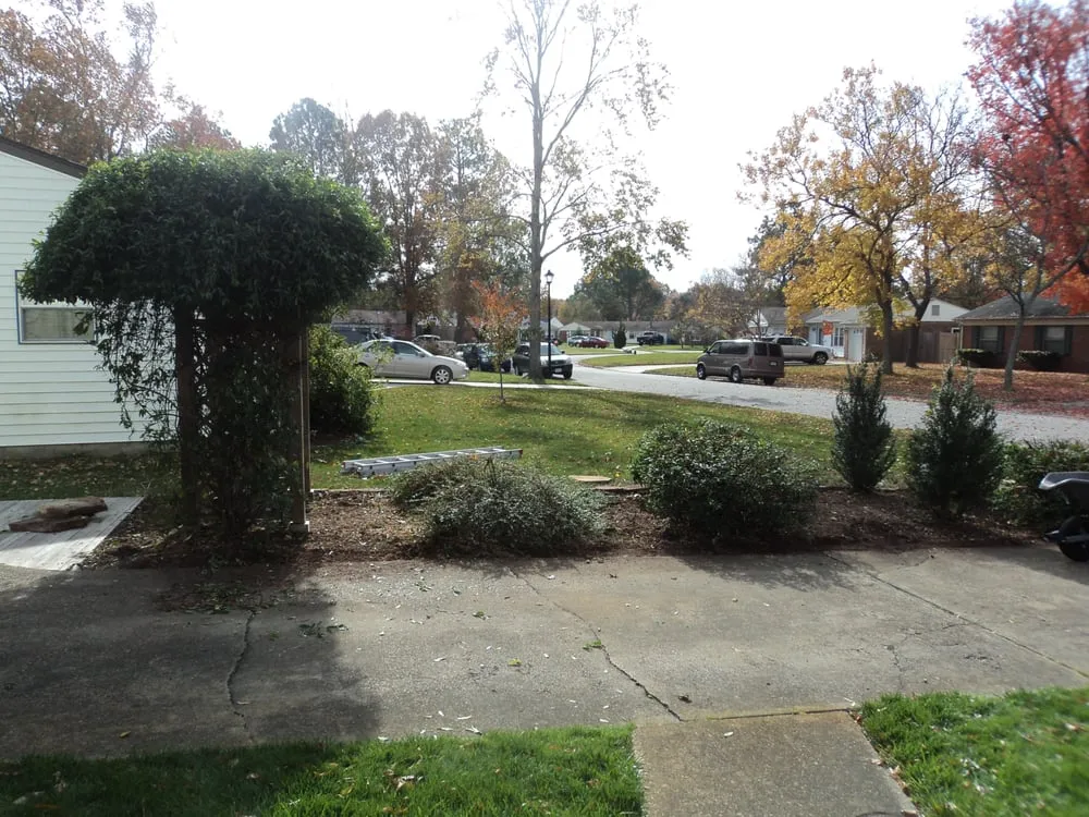 Top-rated lawn mowing service in Virginia Beach, VA - Green Collar Lawn Care Service