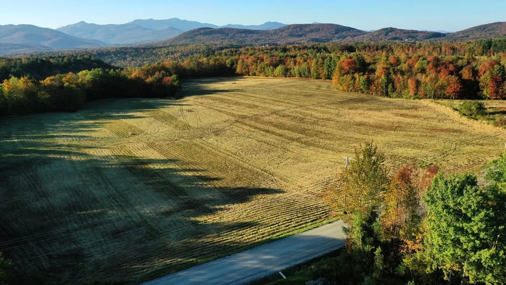 Expert landscape installation in Waterbury, VT - Green Collar Property Management
