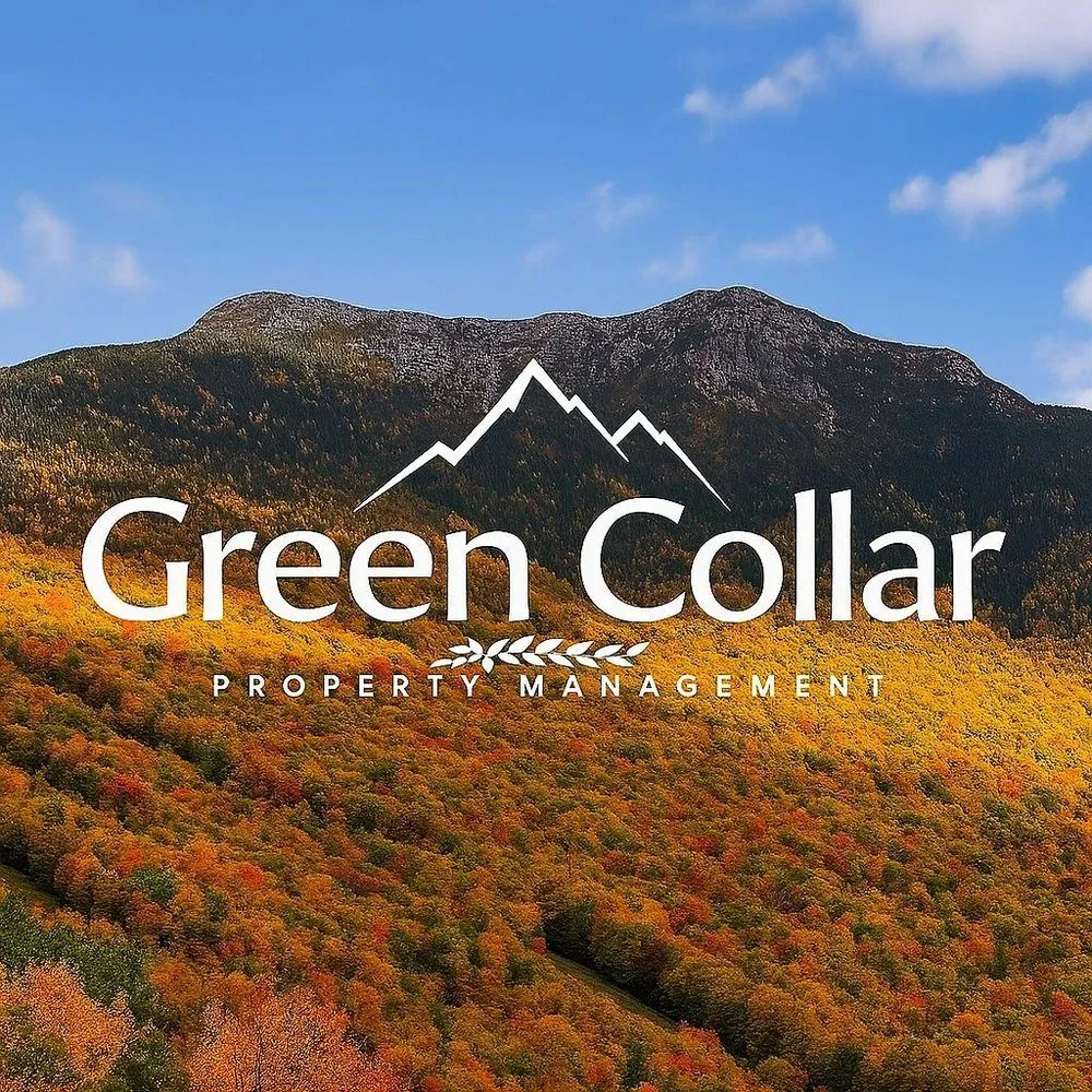 Custom yard cleanup service experts serving Waterbury, VT - Green Collar Property Management