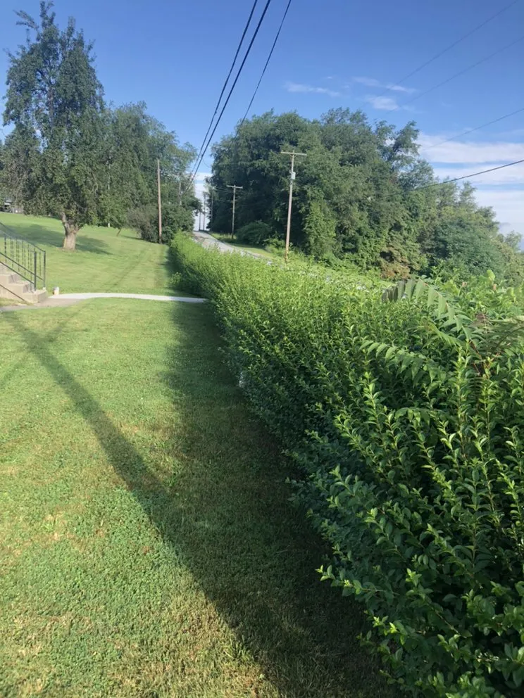 Top-rated lawn care service for year-round maintenance in Uniontown, PA by Green Collar Services