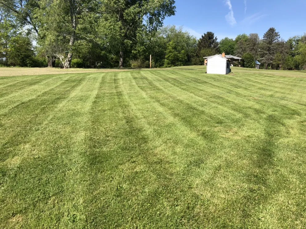 Affordable lawn care service experts serving Uniontown, PA - Green Collar Services