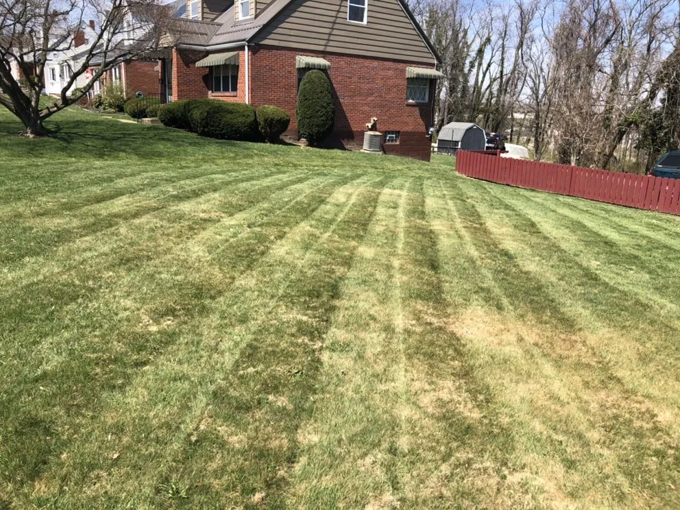 Professional yard maintenance in Uniontown, PA - Green Collar Services