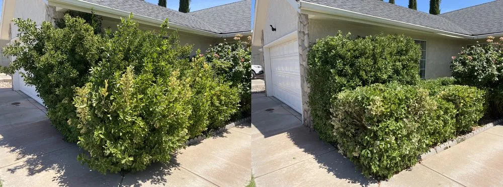 Custom landscaping services in Saint George, UT by Green Comet Trimming