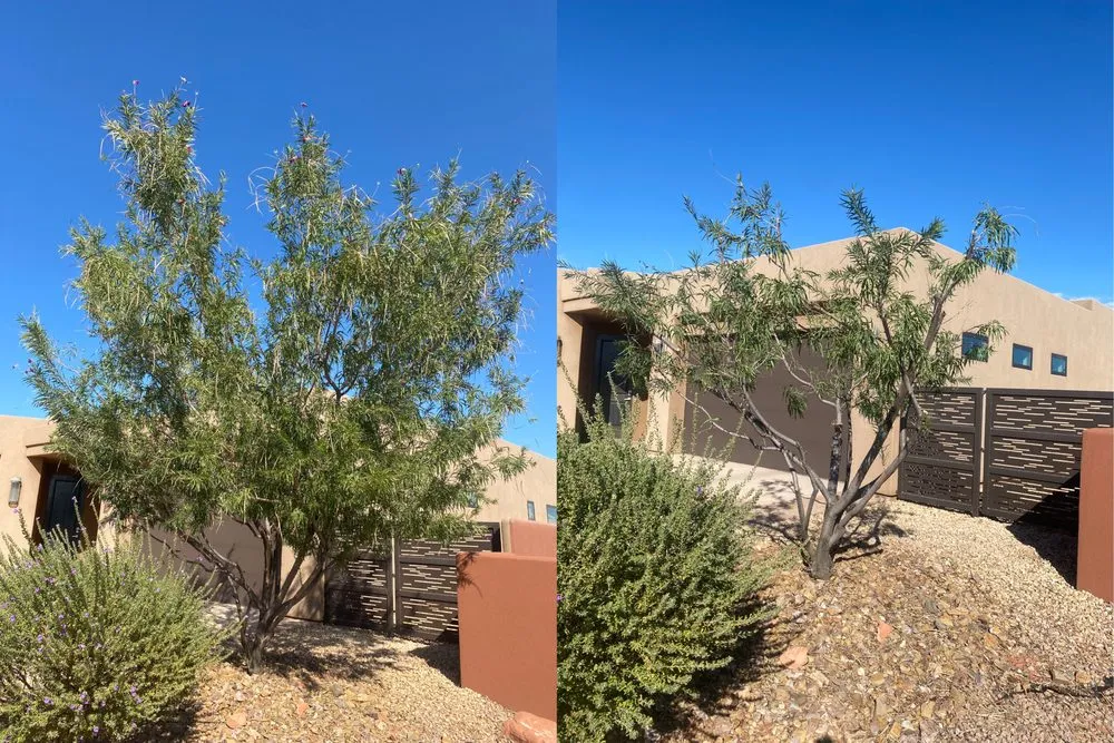 Local lawn mowing service experts serving Saint George, UT - Green Comet Trimming