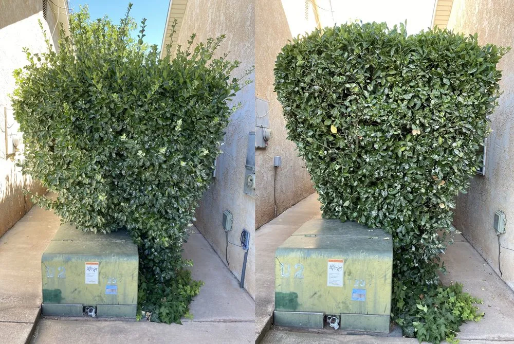 Affordable residential landscaping near you in Saint George, UT by Green Comet Trimming