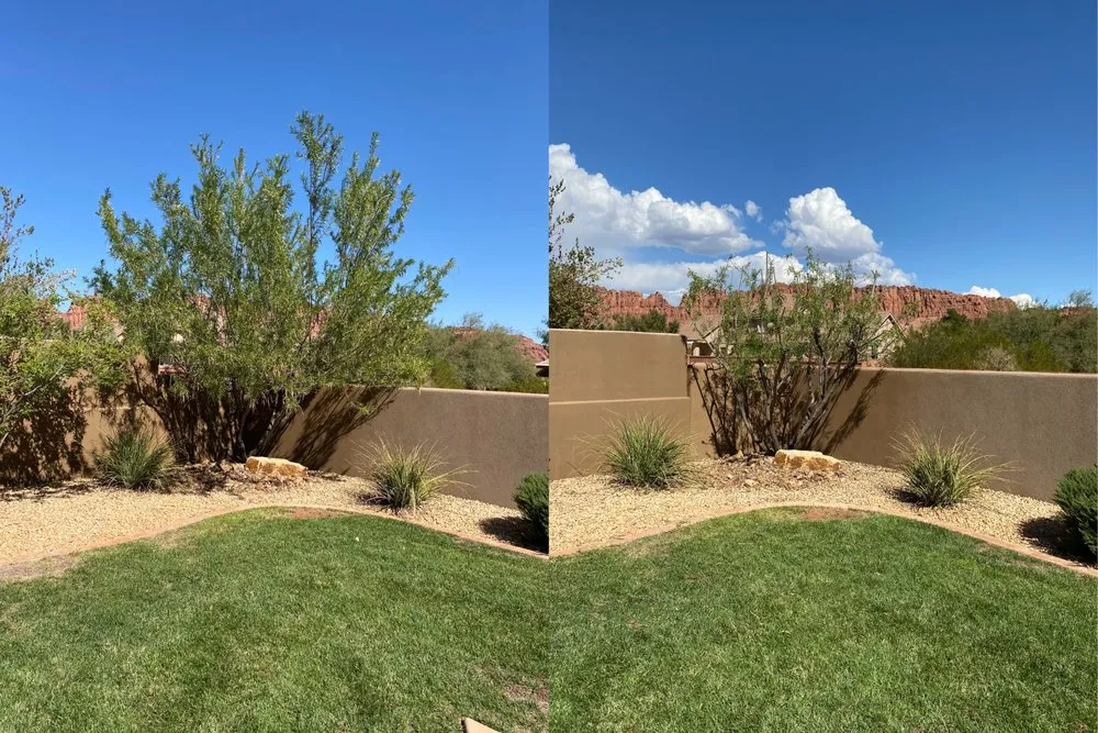 Expert landscape design experts serving Saint George, UT - Green Comet Trimming