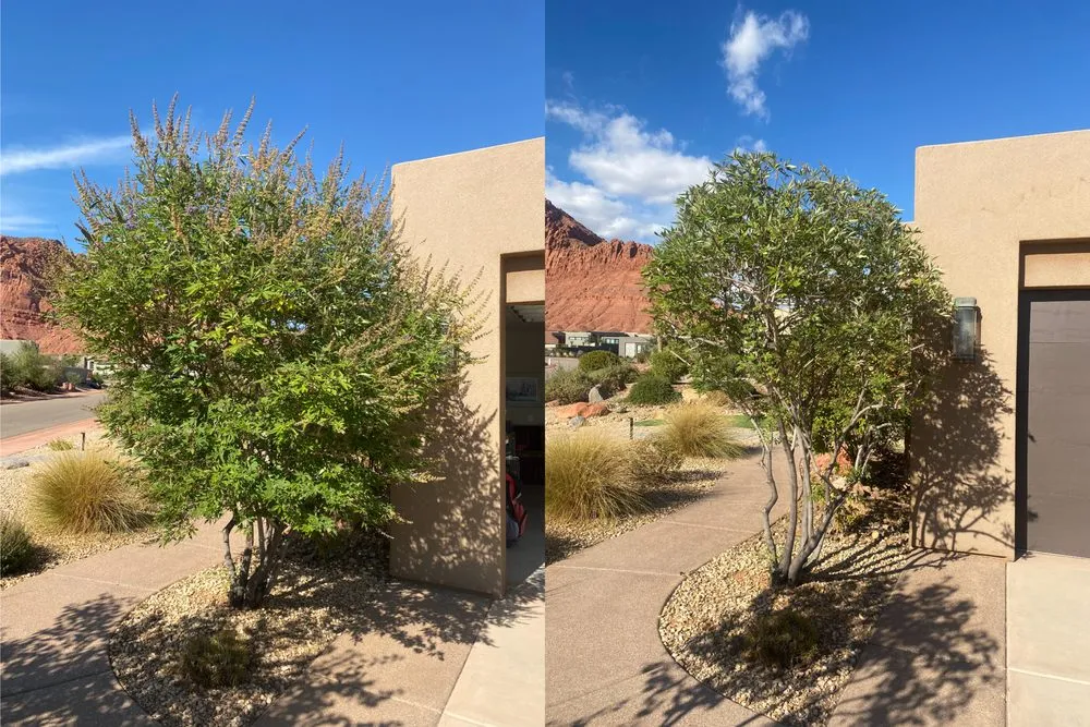 Custom landscape installation with custom design across Saint George, UT - Green Comet Trimming