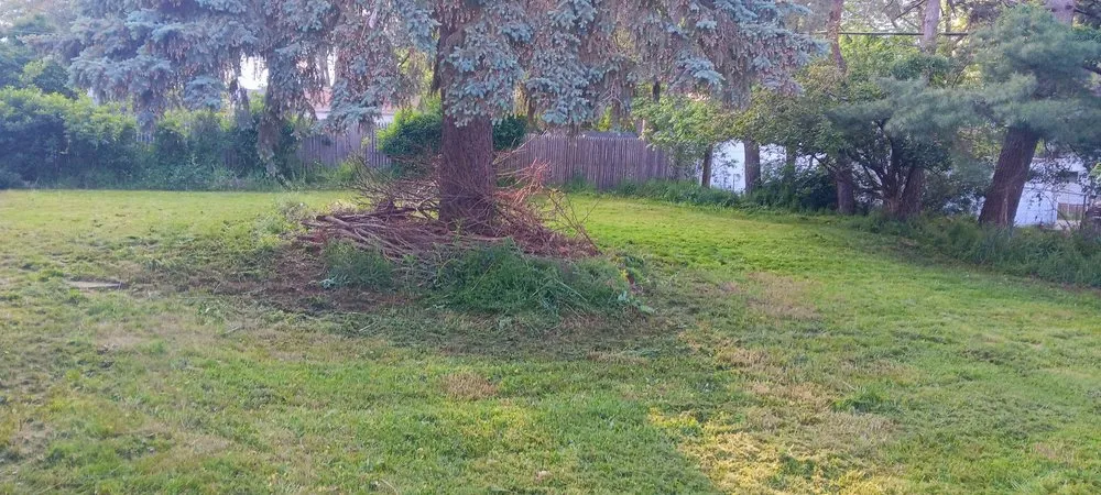 Reliable residential landscaping for homes in Parma, OH by Green Command