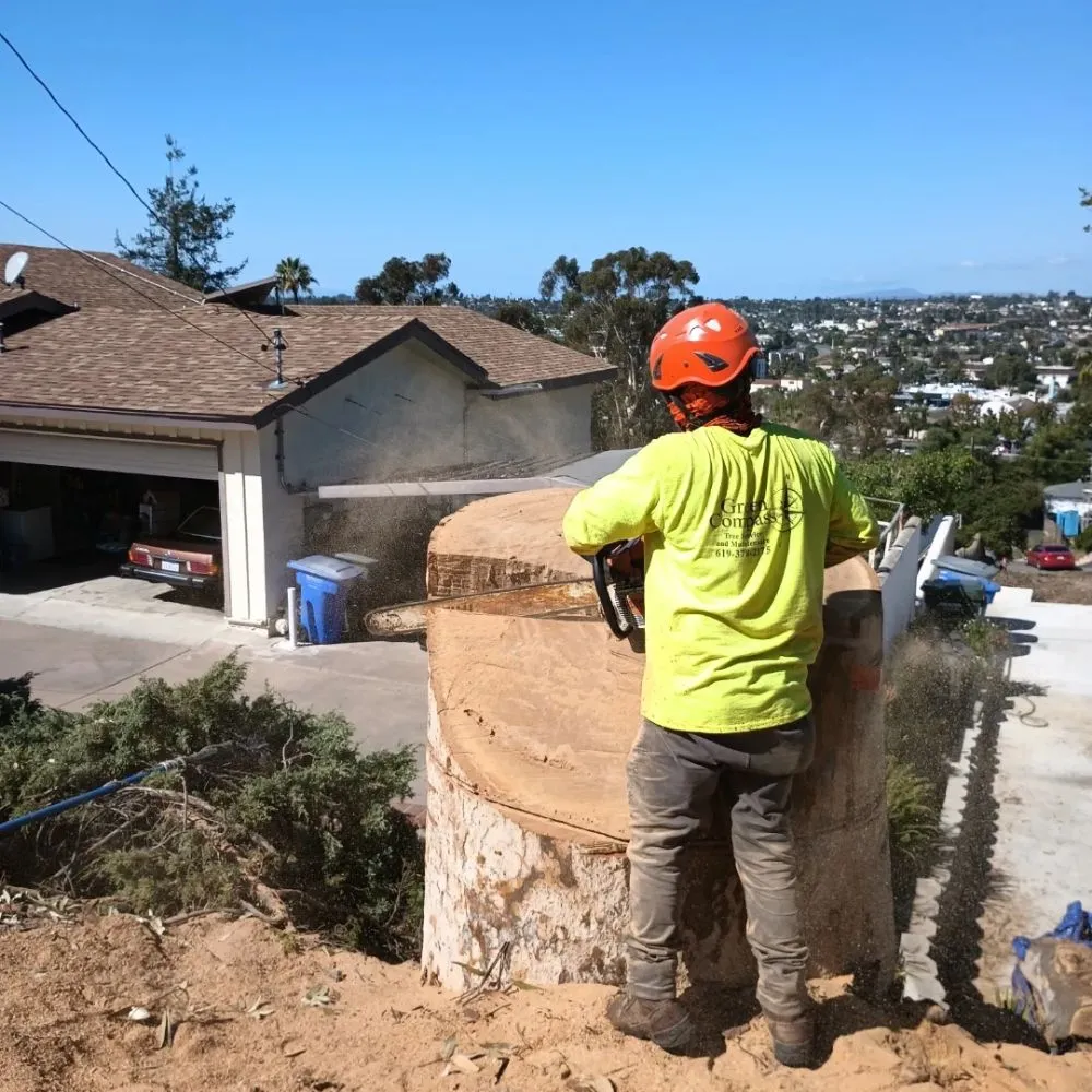 Expert yard maintenance in Chula Vista, CA by Green Compass Landscape And Maintenance