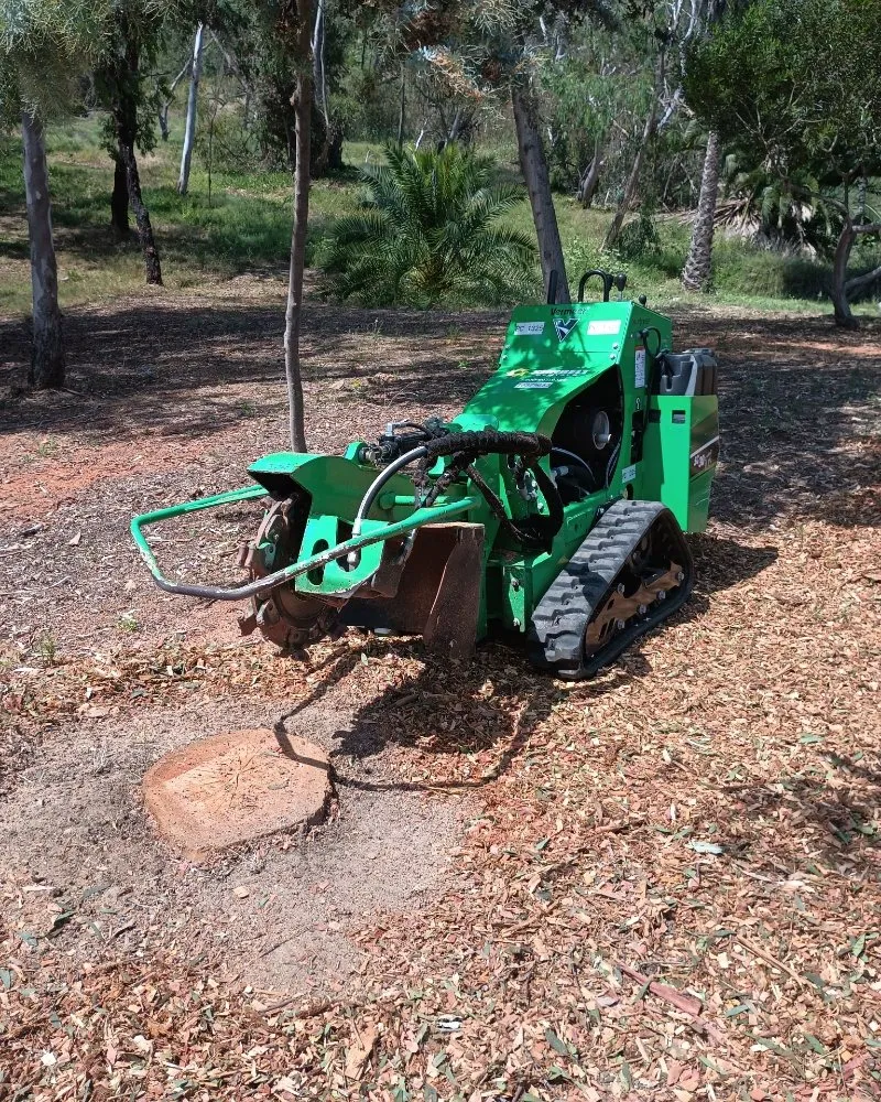 Expert lawn care service for homes across Chula Vista, CA - Green Compass Landscape And Maintenance