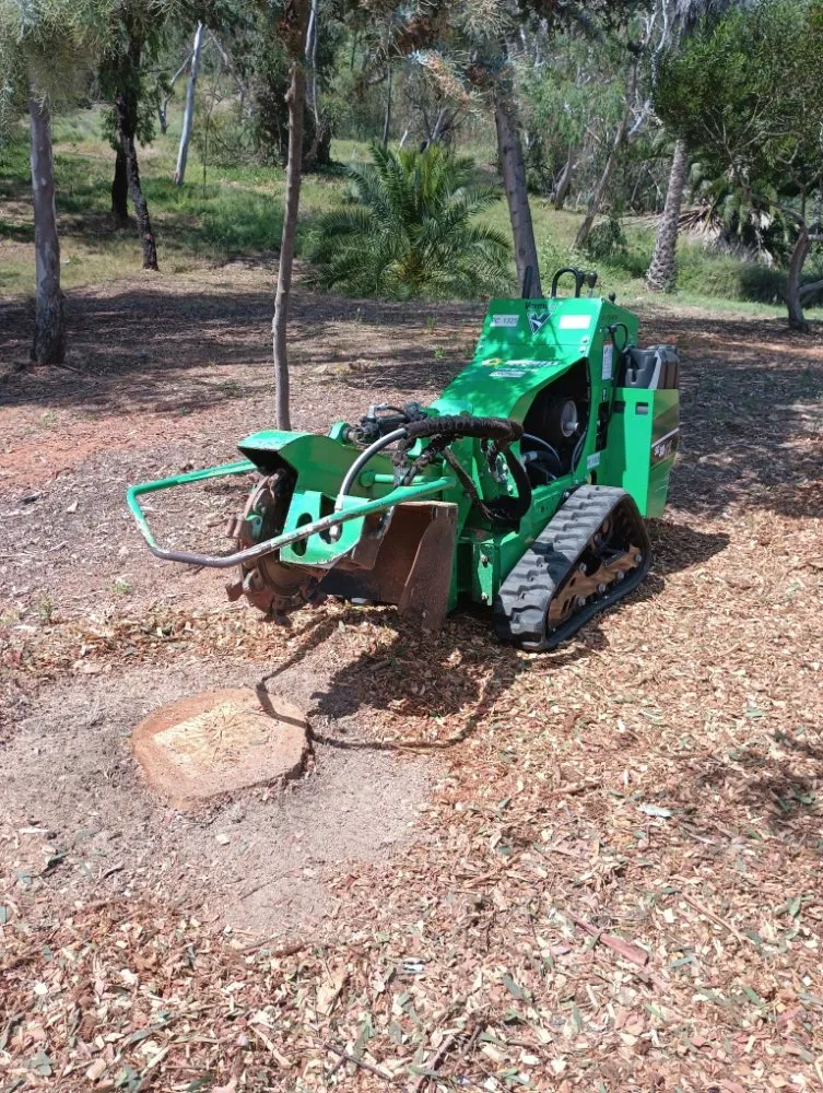 Local landscaping services for year-round maintenance across Chula Vista, CA - Green Compass Landscape And Maintenance