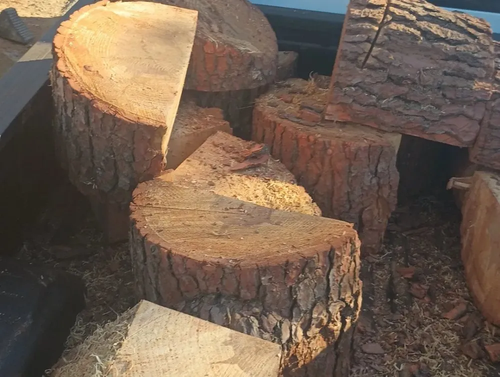 Trusted yard cleanup service for residential properties in Chula Vista, CA by Green Compass Landscape And Maintenance