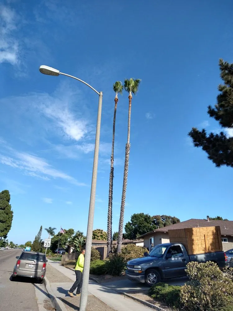 Expert garden landscaping for outdoor upgrades across Chula Vista, CA - Green Compass Landscape And Maintenance