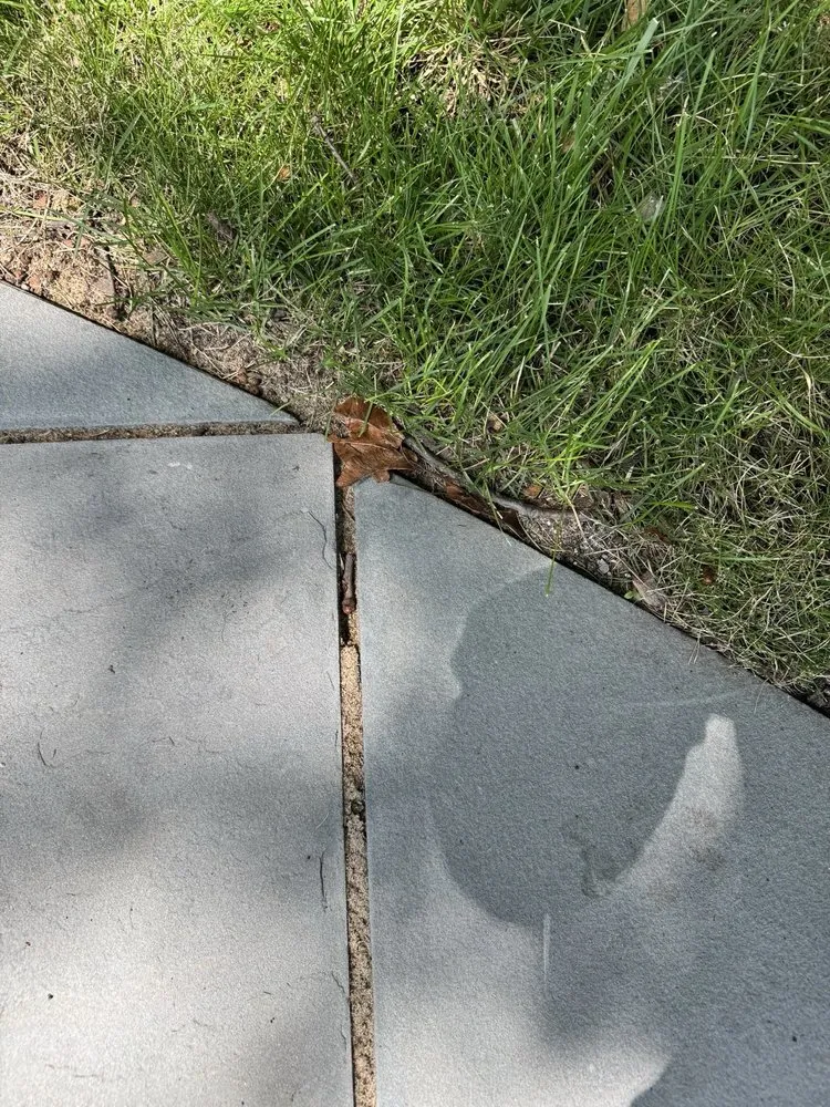 Top-rated lawn care service for residential properties across Mundelein, IL - Green Concepts