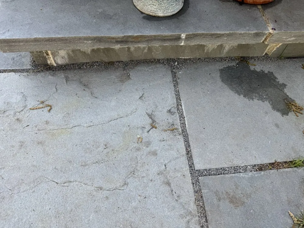 Affordable outdoor landscaping in Mundelein, IL by Green Concepts