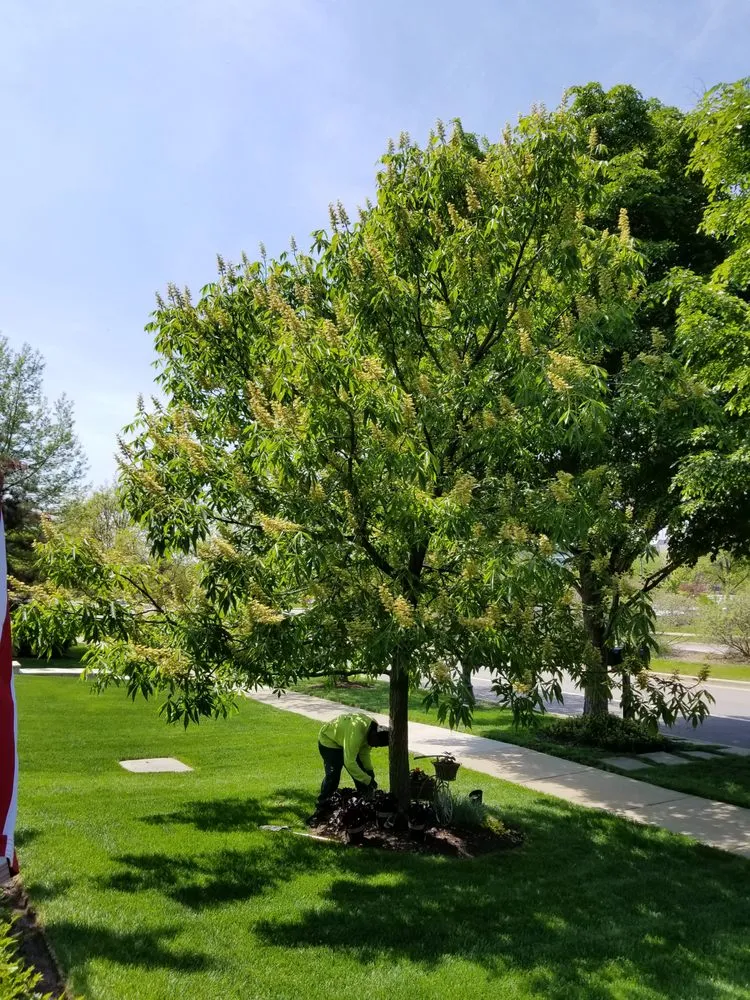 Expert residential landscaping experts serving Skokie, IL - Green Concepts